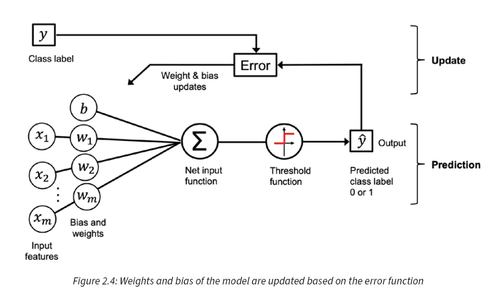 Ilustration of a Perceptron - early algorithm for supervised learning of various binary classification tasks